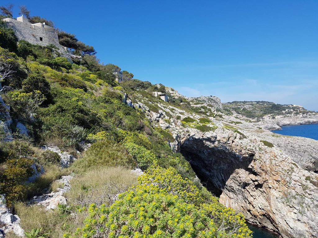 Villa Bocca Del Pozzo Gagliano del Capo Exterior foto